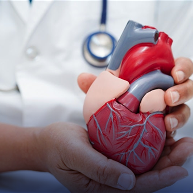 Cardiovascular intervention